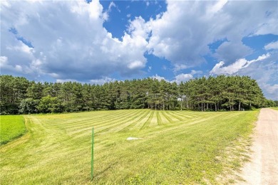 Lake Acreage For Sale in Black River Falls, Wisconsin