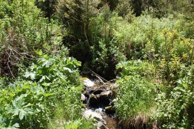 (private lake, pond, creek) Lot For Sale in Virginia City Montana