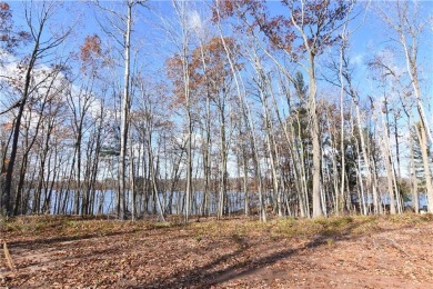  Lot For Sale in Chetek Wisconsin