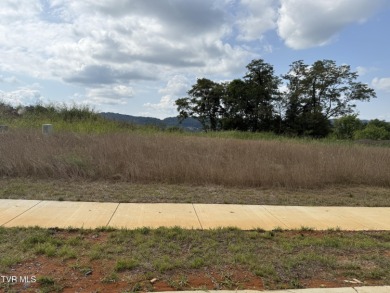 Boone Lake Lot Sale Pending in Johnson City Tennessee