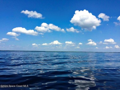 PRICE REDUCED, MOTIVATED SELLER! Seize a once-in-a-lifetime - photo 13