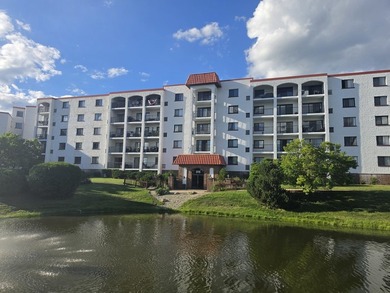 (private lake, pond, creek) Condo For Sale in Wheeling Illinois