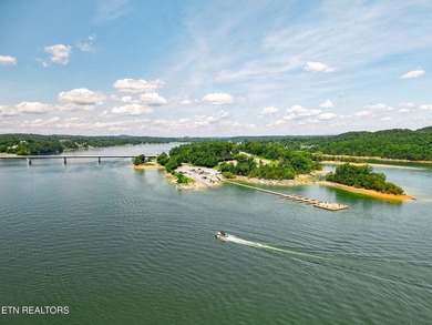 Luxury Lake Living in an Exclusive Douglas Lake Community, at - photo 48