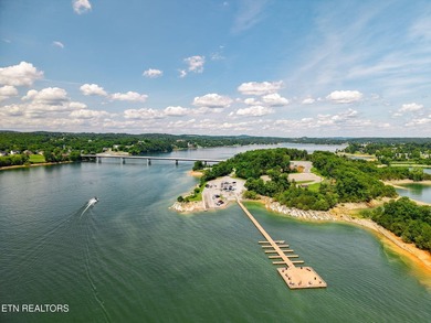 Luxury Lake Living in an Exclusive Douglas Lake Community, at - photo 49