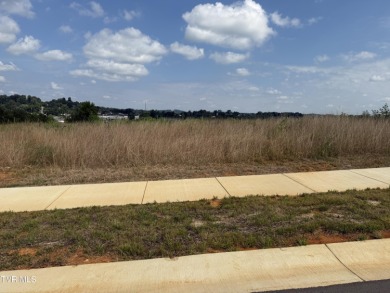 Boone Lake Lot For Sale in Johnson City Tennessee