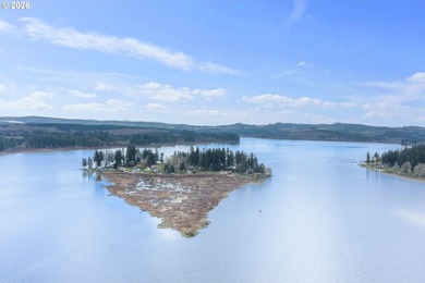 Lake life meets mountain views (from the lake) at this custom - photo 4