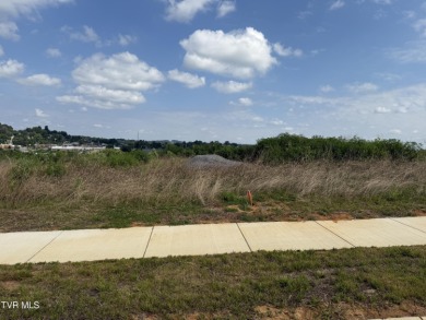 Boone Lake Lot For Sale in Johnson City Tennessee