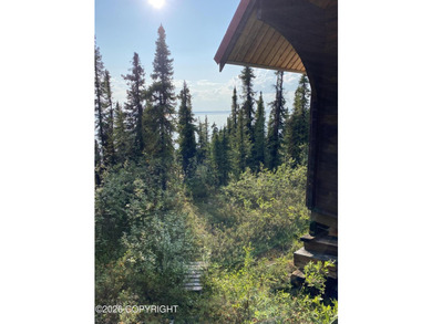 Cute Lindahl Cedar cabin on 4 acres of lakefront. Great fishing - photo 11