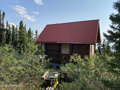 Cute Lindahl Cedar cabin on 4 acres of lakefront. Great fishing - photo 13