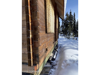 Cute Lindahl Cedar cabin on 4 acres of lakefront. Great fishing - photo 17
