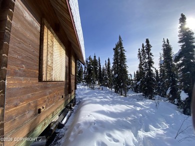 Cute Lindahl Cedar cabin on 4 acres of lakefront. Great fishing - photo 18