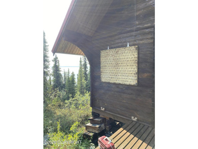 Cute Lindahl Cedar cabin on 4 acres of lakefront. Great fishing - photo 19