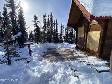 Cute Lindahl Cedar cabin on 4 acres of lakefront. Great fishing - photo 24