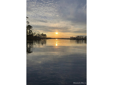 Experience elevated lakefront living on the pristine shores of - photo 4