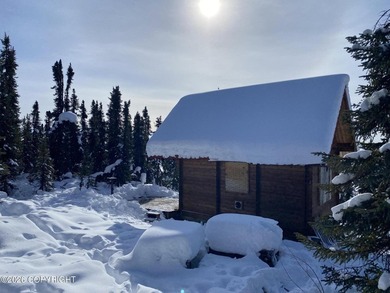 Cute Lindahl Cedar cabin on 4 acres of lakefront. Great fishing - photo 26