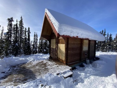 Cute Lindahl Cedar cabin on 4 acres of lakefront. Great fishing - photo 27
