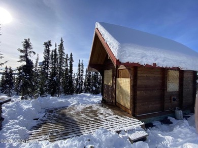 Cute Lindahl Cedar cabin on 4 acres of lakefront. Great fishing - photo 28