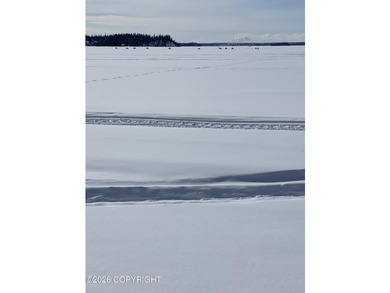 Cute Lindahl Cedar cabin on 4 acres of lakefront. Great fishing - photo 35