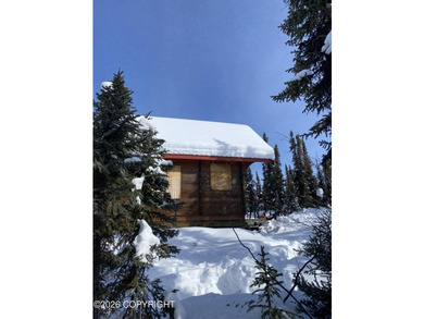 Cute Lindahl Cedar cabin on 4 acres of lakefront. Great fishing - photo 36