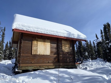 Cute Lindahl Cedar cabin on 4 acres of lakefront. Great fishing - photo 37