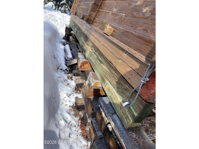 Cute Lindahl Cedar cabin on 4 acres of lakefront. Great fishing - photo 40