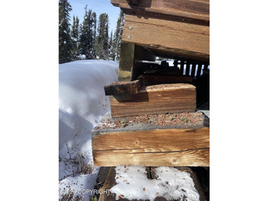 Cute Lindahl Cedar cabin on 4 acres of lakefront. Great fishing - photo 41