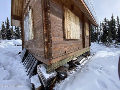 Cute Lindahl Cedar cabin on 4 acres of lakefront. Great fishing - photo 44