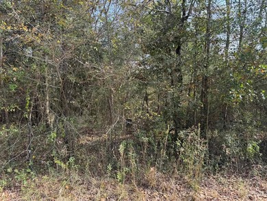 Cedar Creek Lake Lot For Sale in Mabank Texas