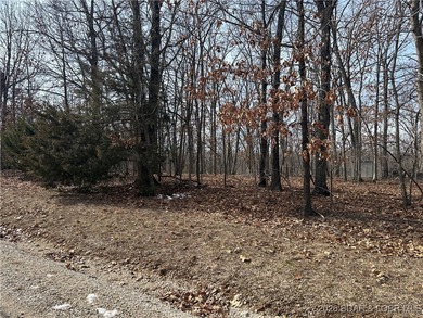 Beautiful Building Lot in the Village of Four Seasons. Nice and - photo 2