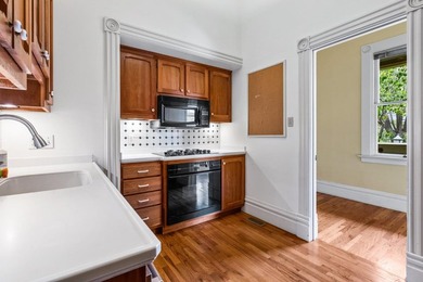 New zoning allows for multi-residential. Rare opportunity to own - photo 23