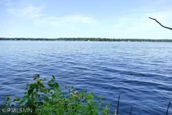 Lake Wapogasset Lot For Sale in Lincoln Wisconsin