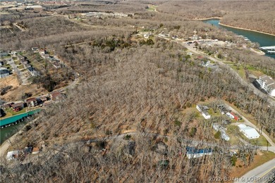 Nearly 16 acres (15.8) of undeveloped land off Passover in Osage - photo 3