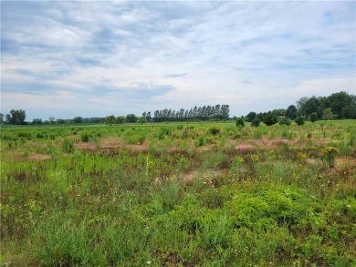 Lake Lot For Sale in Turtle Lake, Wisconsin