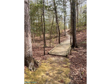 Acreage has beautiful setting on Creek/Stream and on a cul-de - photo 11