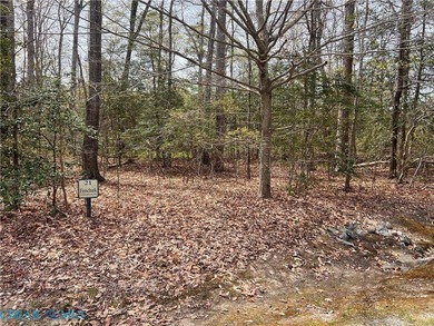 Acreage has beautiful setting on Creek/Stream and on a cul-de - photo 12