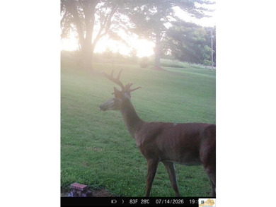 Welcome to 3088 Finney Road, Glasgow, KY-a beautiful ranch-style - photo 32