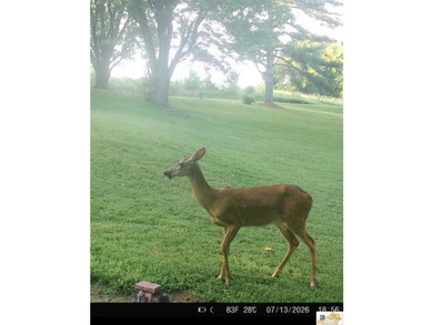 Welcome to 3088 Finney Road, Glasgow, KY-a beautiful ranch-style - photo 34