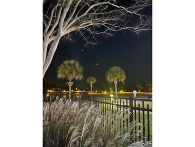 A105 is a 3 bedroom 3 bath condo in A Building at Harbor Pointe - photo 49