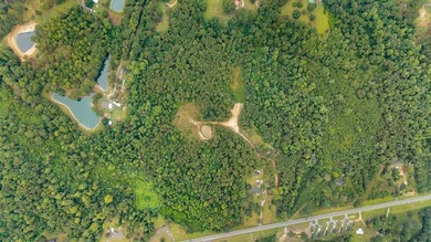Beautiful tract of land with over 30 acres that joins the city - photo 9