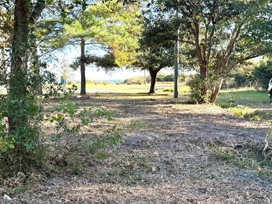 Want to be one lot from the Beach? These three lots are waiting - photo 1