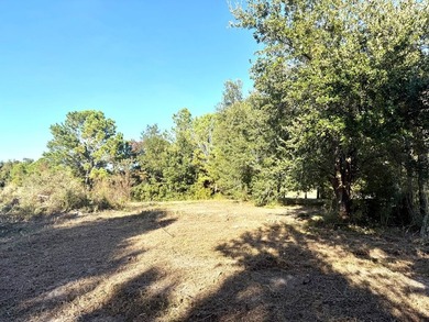 Want to be one lot from the Beach? These three lots are waiting - photo 3