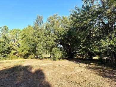 Want to be one lot from the Beach? These three lots are waiting - photo 5