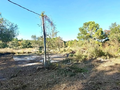 Want to be one lot from the Beach? These three lots are waiting - photo 6