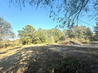 Want to be one lot from the Beach? These three lots are waiting - photo 8