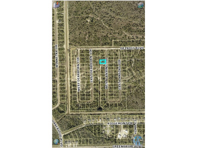 Lehigh Acres Area Lot For Sale in Alva Florida
