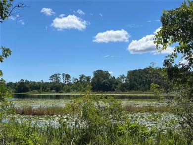 Lake Kathryn Lot For Sale in Paisley Florida