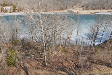 Lakefront building lot in the desirable Eagle Bay Subdivision! - photo 6