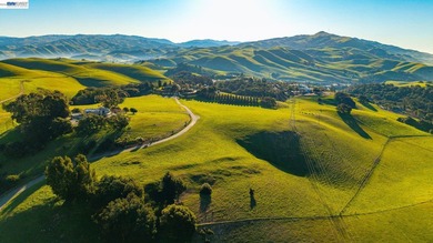 Over 20 acres of stunning land in the Bay Area with 360-degree - photo 13