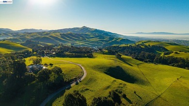 Over 20 acres of stunning land in the Bay Area with 360-degree - photo 14