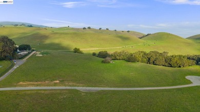 Over 20 acres of stunning land in the Bay Area with 360-degree - photo 15